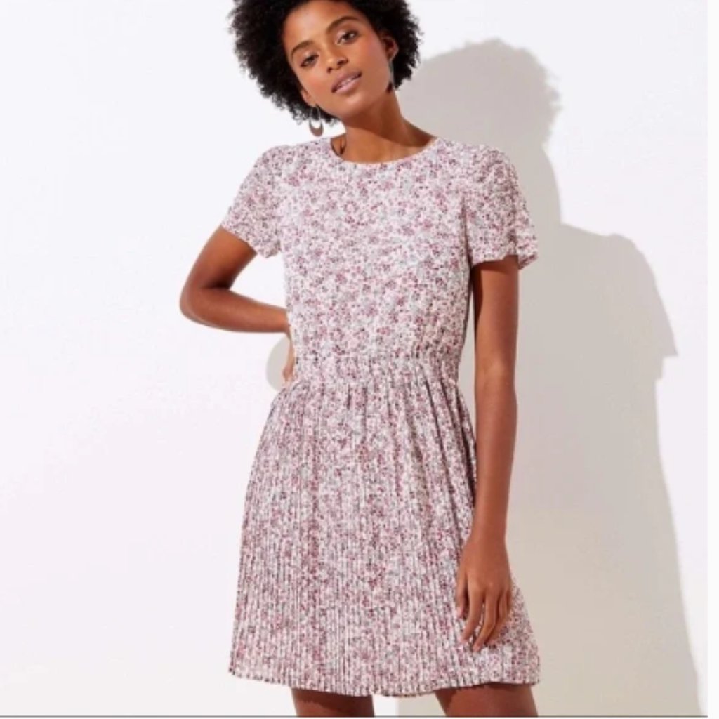 Loft Garden Pleated Flare Dress 943